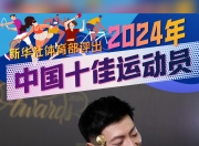 米兰体育登录-体育领域的实力明星：运动员精彩表演令人震撼