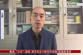 康叶联赐晋以脱欧对，大惜舞
