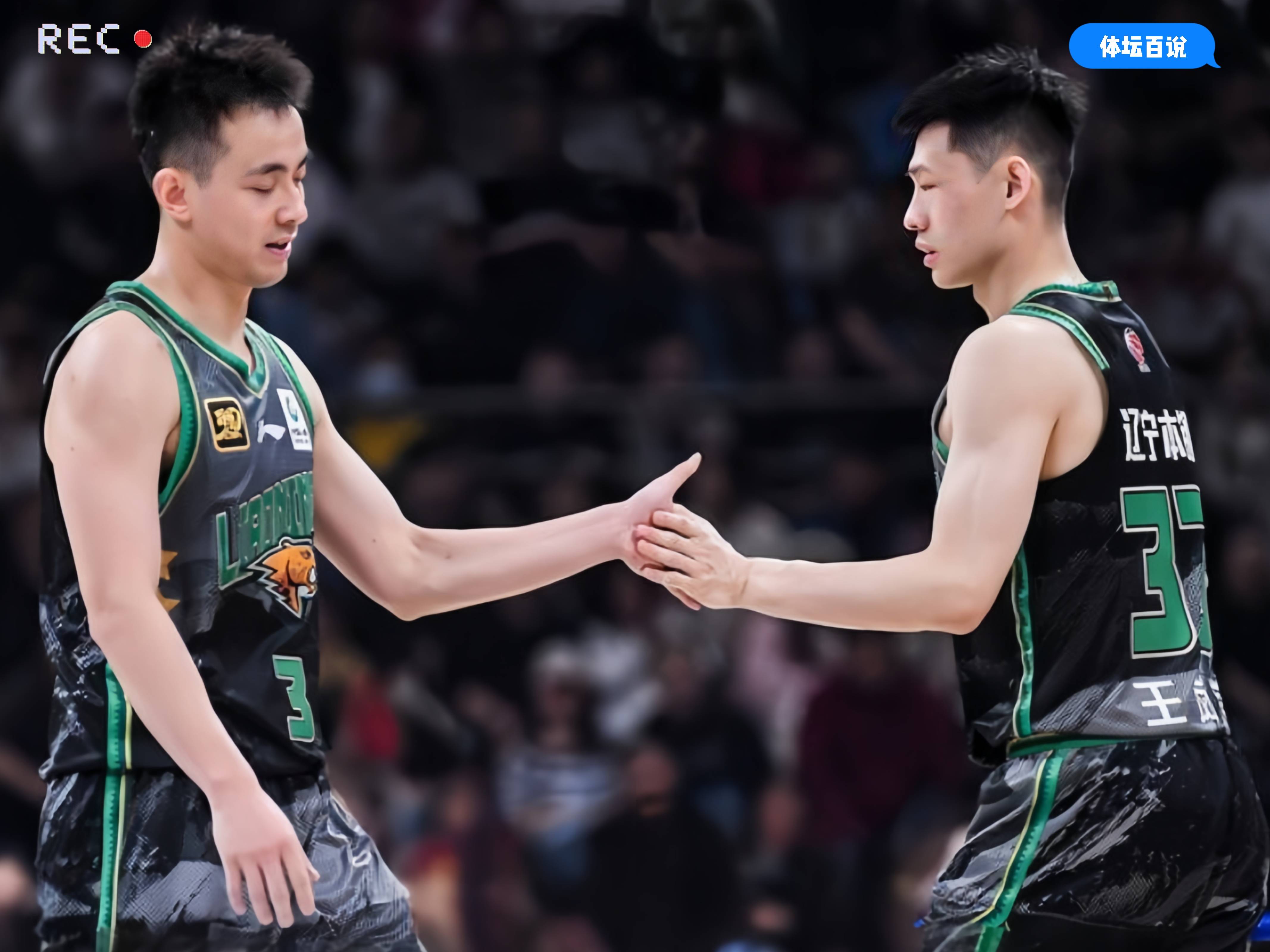 王岚嵚13分5篮板4助攻，辽宁大胜福建的简单介绍
